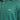 Champions Green Print | Logo Detail