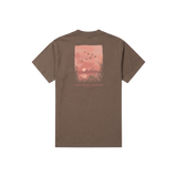 Carajillo Brown | Back