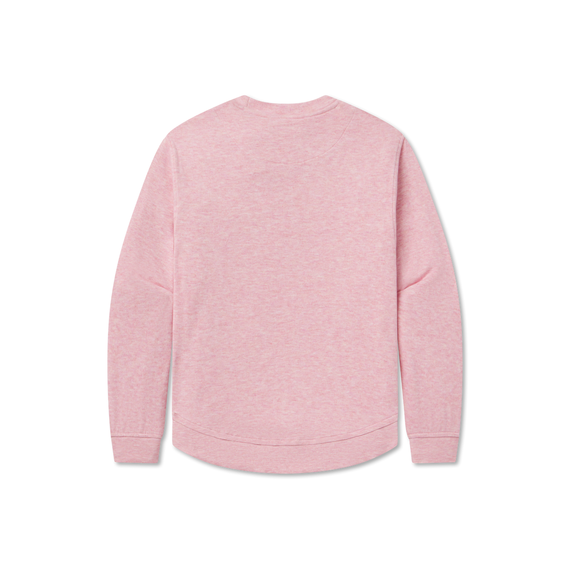 Pink Terra | Back