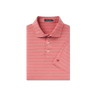 Rhubarb Stripe