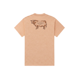Camel | Back