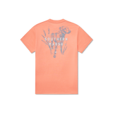 SEAWASH Peach