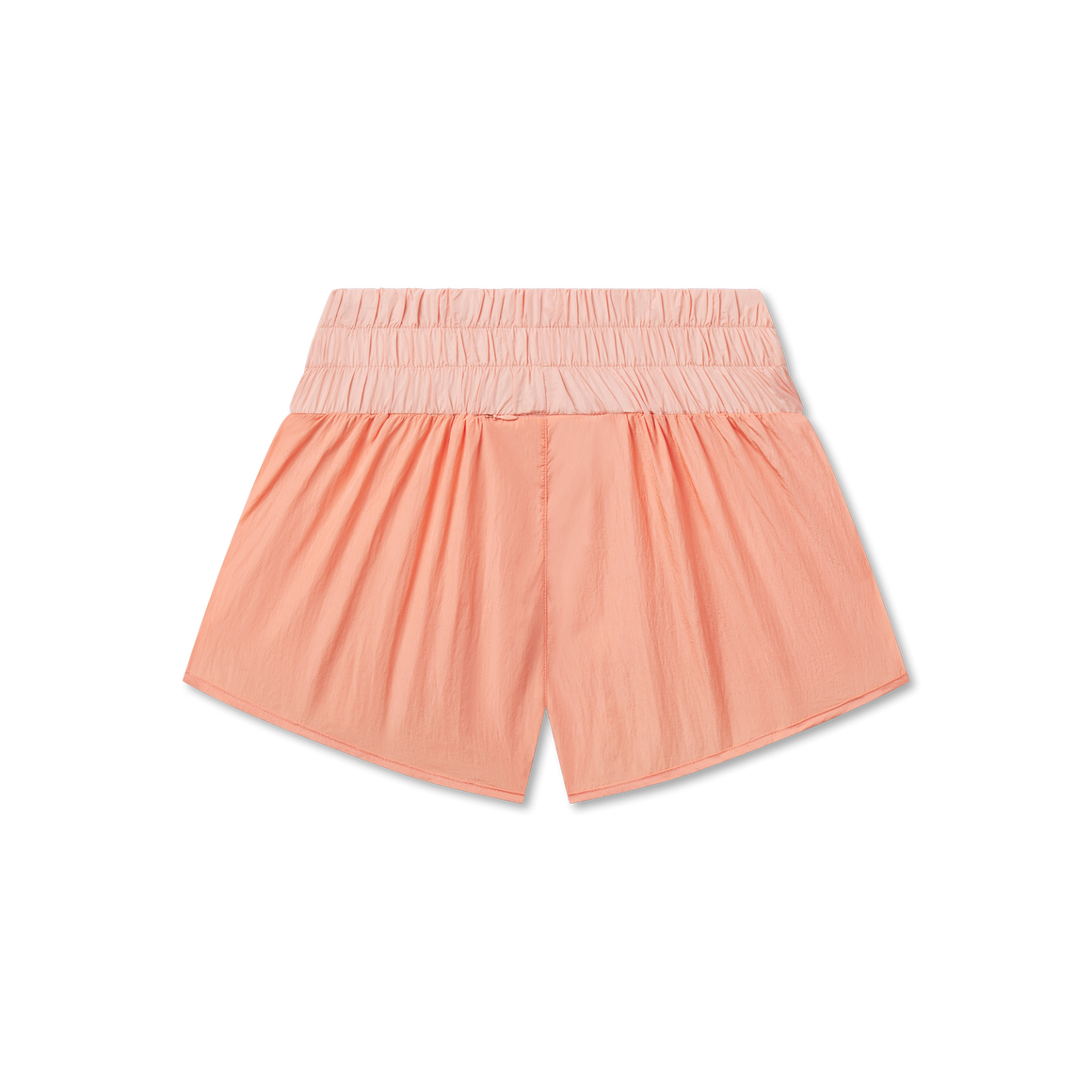 Peach and Camelia | Back
