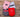 Southern Marsh Signature Coozies